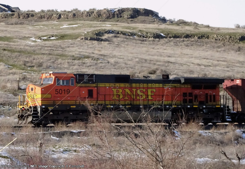 BNSF 5019